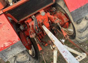 Sprzedam władymirca