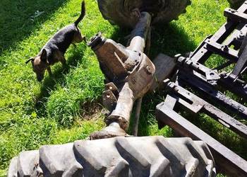 Mosty Aro Muscel 7x36 części do mostów napęd ursus