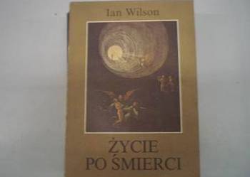 Życie po śmierci - Ian Wilson
