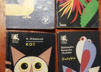 Seria Mój Konik Kot, Pies, Kaktusy, Gołębie