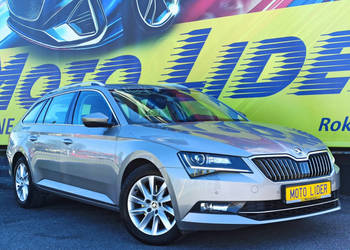 salon. II właściciel, bezwypadkowy