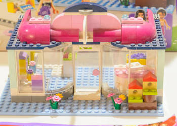 LEGO Friends 41007, Salon dla zwierząt w Heartlake