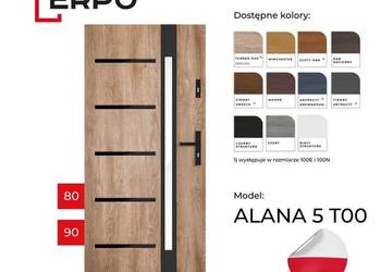 Drzwi wejściowe 80,90 lewe lub prawe,szyba lustro, wypełnienie PIANA