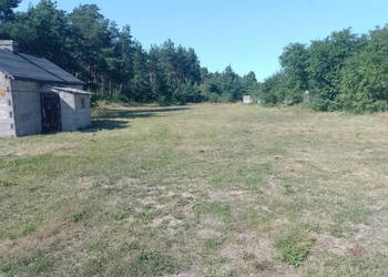 Sprzedam działkę 1700 m² z budynkiem (27 m²) – Żurawin, gmina Mochowo