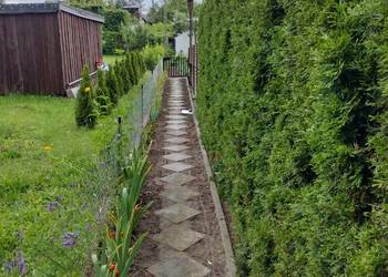 Działka ROD z domkiem 2025 – Aleksandrów Kujawski