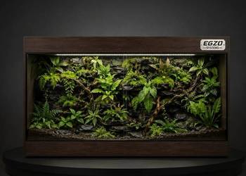 Terrarium profesjonalne dla boa cesarskiego kameleona