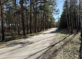 Działka z możliwością zabudowy blisko Gostynina