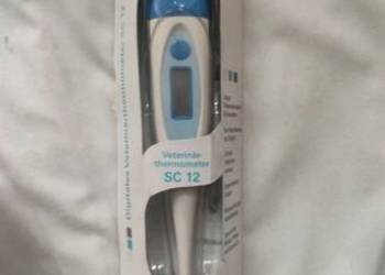 Termometr weterynaryjny