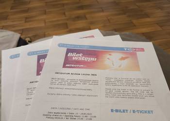 3 Bilety Wstępu na Antidotum/Pokazy Lotnictwa w Lesznie 20.06.2026