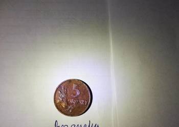 5 groszy z 1949r. Bez znaku menicy.