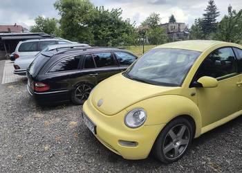 New beetle