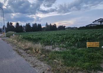 PRYWATNIE Działka budowlana 12ar (25m front)