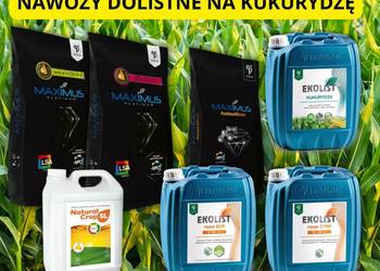 Nawozy dolistne na kukurydzę odżywki
