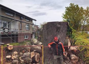 wycinka drzew usługi rębakiem karczowanie samosiejek koszenie traw