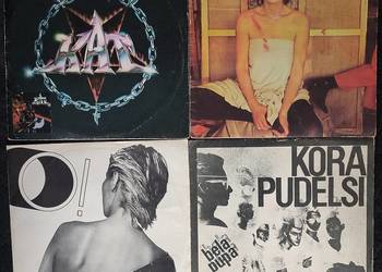 Płyty winylowe - KAT i inni