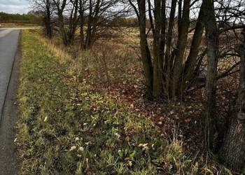 Na sprzedaż działka 1600 m² z warunkami zabudowy – bezpośrednio