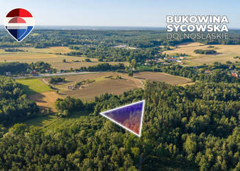 Działka leśna pow. 29.600 m², Bukowina Sycowska