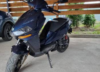 BENELLI 49x
