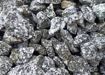 Grys Granitowy Dalmatian szary Kamień ozdobny ogrodowy Thasos Kora Zielony