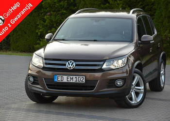 Volkswagen Tiguan Lift Toffee Brown bi-xenon Ledy Navi Kamera 2xParktr. Pa…