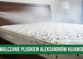 Zwalczanie Pluskiew Aleksandrów Kujawski - Odpluskwianie, Dezynsekcja