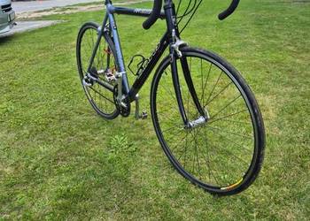 Rower szosowy Batavus Pro Elite | Koła 28" | Stan [Bardzo dobry ) Szosa Kol