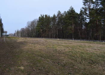 Działki 10a pod lasem- Widełka