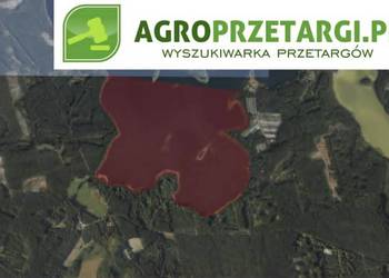 Dzierżawa 170,52 ha jeziora