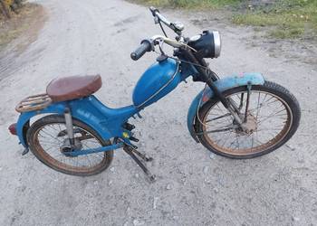 Komar Zabytek Okazja Komar Zabytek Okazja