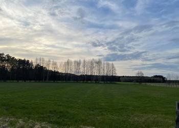 Działka na Mazurach 0,67ha Działka na Mazurach 0,67ha