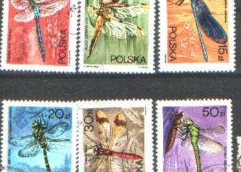 Zn. Fi 2986 - 91 kas 1988