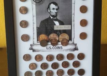 1 cent USA ZESTAW monet w Ramce