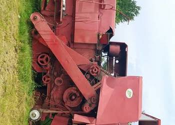 Sprzedam bizon z040