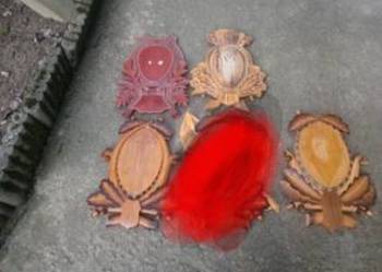 Deski pod poroże jelenia