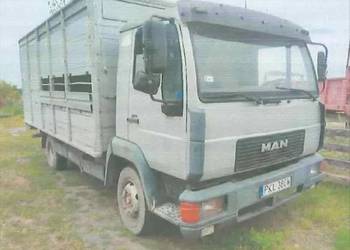 Syndyk sprzeda samochód ciężarowy marki MAN do przewozu zwierząt!