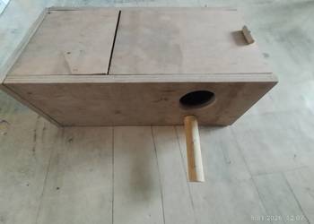 Butka lęgowa dla papug