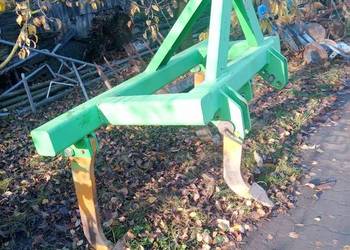 Głębosz trzy łapowy Głębosz trzy łapowy