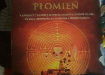 Niewidzialny płomień - Javier Sierra