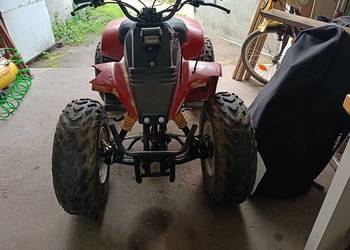 Quad Kazuma dingo 150