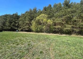 PRYWATNY LAS + DZIAŁKA 6037 m² | WŁOCHÓWKA | GMINA WIZNA | WYJĄTKOWA OFERTA