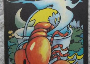 Ślepe szczęście Joanna Chmielewska