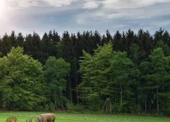 Działka 1065m2 Nowodworce