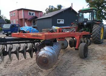 Talerzówka quivogne