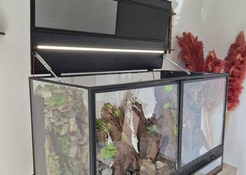 Pokaźne terarium wraz z Python królewski