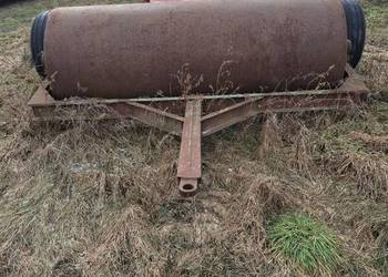 Wal łąkowy wymiary na zdjeciach