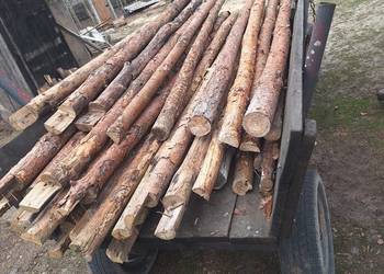 Stemple drewniane budowlane