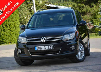 Volkswagen Tiguan Parkassist Navi Klimatronic Chromy Relingi El.Hak Alu 17…