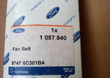 1057840 Pasek wielorowkowy Ford Transit 2.5 D