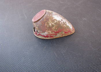 Lampka tył Shl Wsk Wfm Junak