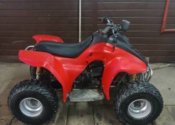 Quad dla dzieci hyosung te90 (aeon, cobra, piaggio, kxd) nie 110/125